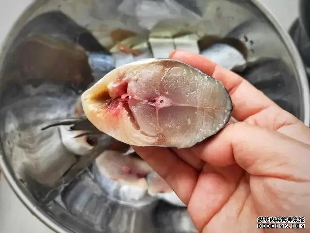 遇上這魚從不手軟，一買就是10斤，肉嫩刺少營養(yǎng)高，每次都吃不夠