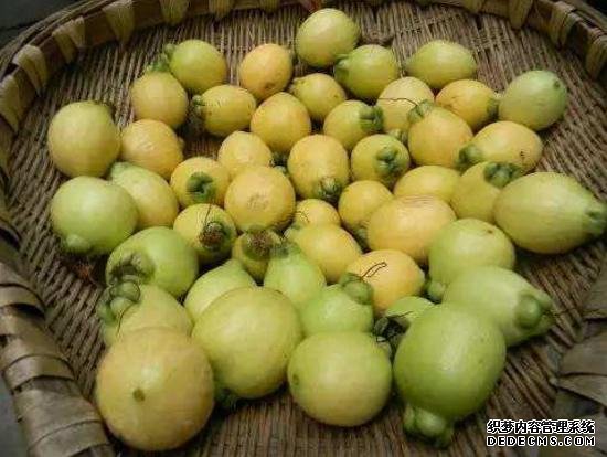 它被稱為“維C之王”，果肉甜而多汁，30元一斤，只有少數(shù)人吃過