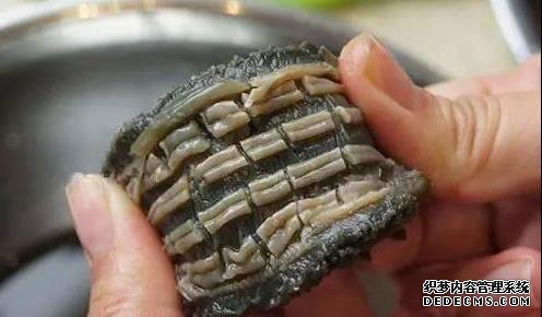 海參還能這樣吃：詳細泡發(fā)方法和做法步驟，滋補養(yǎng)顏，強身抗衰老