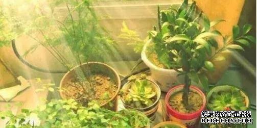 十種健康的養(yǎng)生方式?。ńㄗh永久堅持）