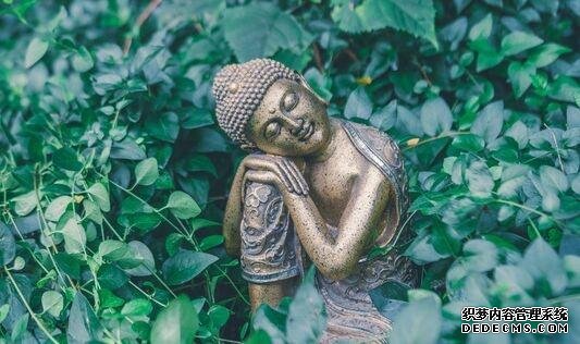 吃得少就能活得更長更健康？研究發(fā)現(xiàn)飲食限制下，壽命和健康壽命并沒有關(guān)聯(lián)
