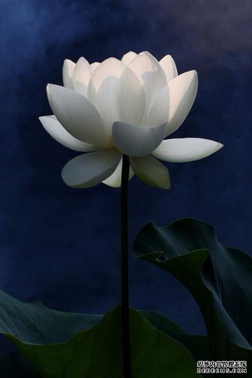 徐文兵：對于養(yǎng)生來說，方向比方法更重要