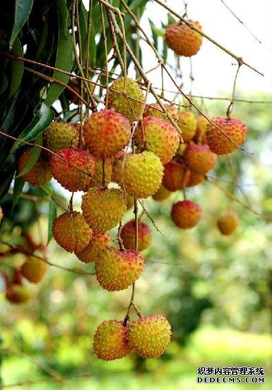 為什么一到夏天，你總是沒(méi)胃口？