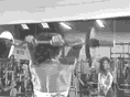 史上最全！54個(gè)GIF健身動(dòng)作大全，趕緊收藏！
