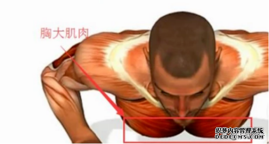 健身過(guò)程中，如何讓訓(xùn)練更高效？提高意識(shí)與肌肉的聯(lián)系，才是關(guān)鍵