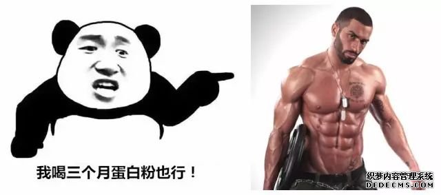 一萬次的想法，比不上你一次全身心的投入到健身當中去