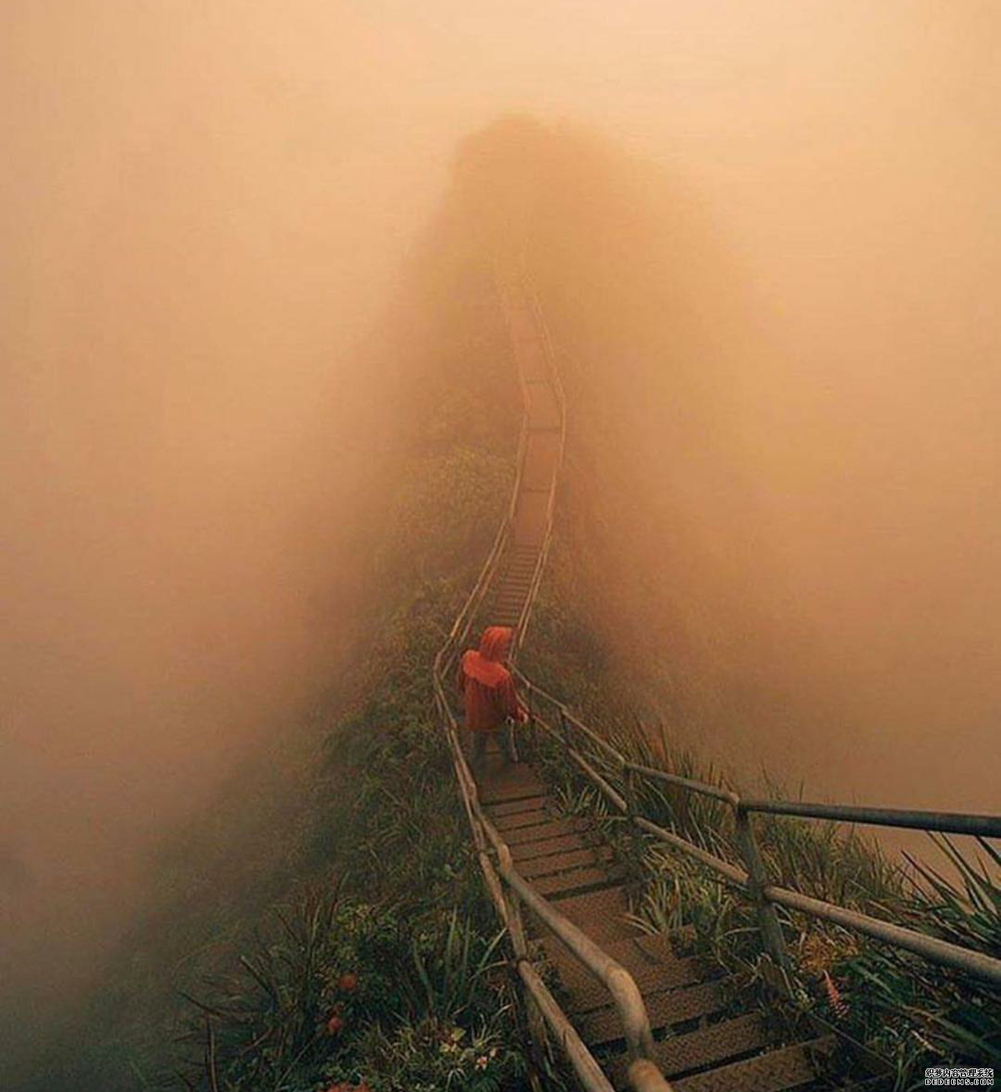 健身，心態(tài)和技術(shù)一樣重要