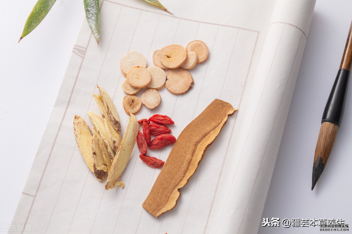 身體虛弱能長(zhǎng)期和鹿角靈芝草泡水嗎？鹿角靈芝有啥禁忌？