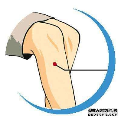 細(xì)說(shuō)“足三里”，保健排第一