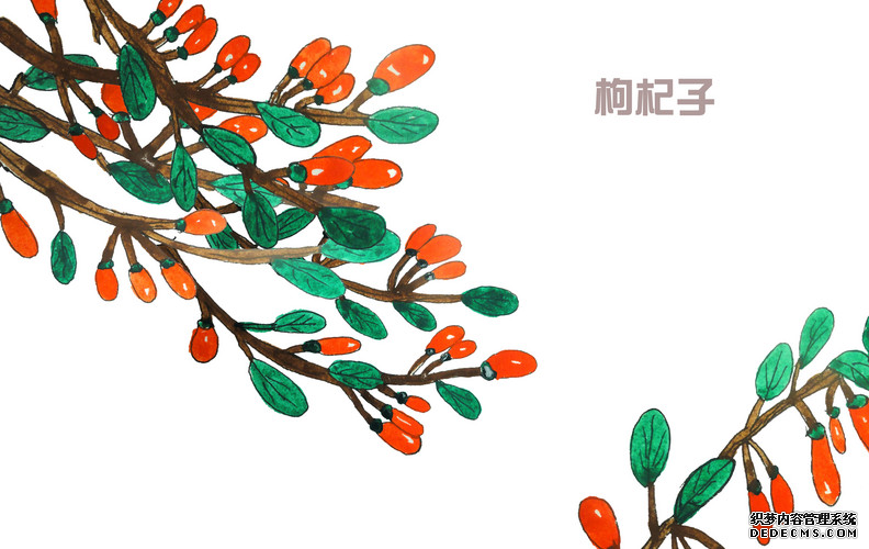 吃枸杞可以長壽，但是您吃對了嗎？